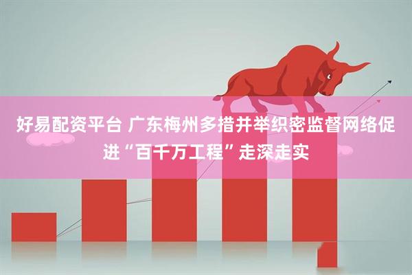 好易配资平台 广东梅州多措并举织密监督网络促进“百千万工程”走深走实