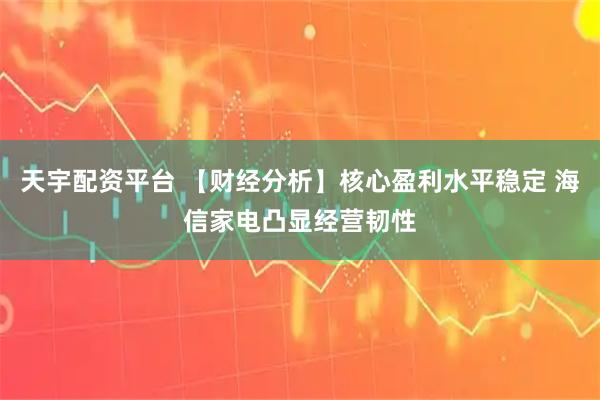 天宇配资平台 【财经分析】核心盈利水平稳定 海信家电凸显经营韧性