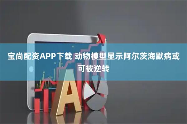 宝尚配资APP下载 动物模型显示阿尔茨海默病或可被逆转